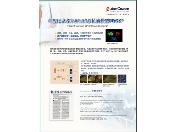 早期手術腫瘤患者抗復發(fā)、抗轉移、促進生存全過程管理服務