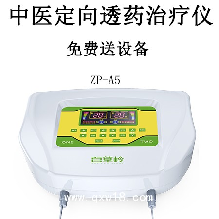 中藥離子導(dǎo)入治療儀中頻脈沖療法