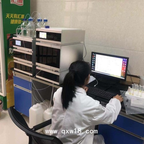 GI-5200-LI全自動離子色譜儀檢測碳酸鋰濃度