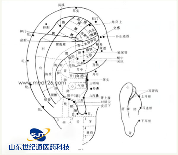 耳穴貼