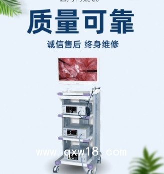 五官科醫(yī)用內(nèi)窺鏡設(shè)備