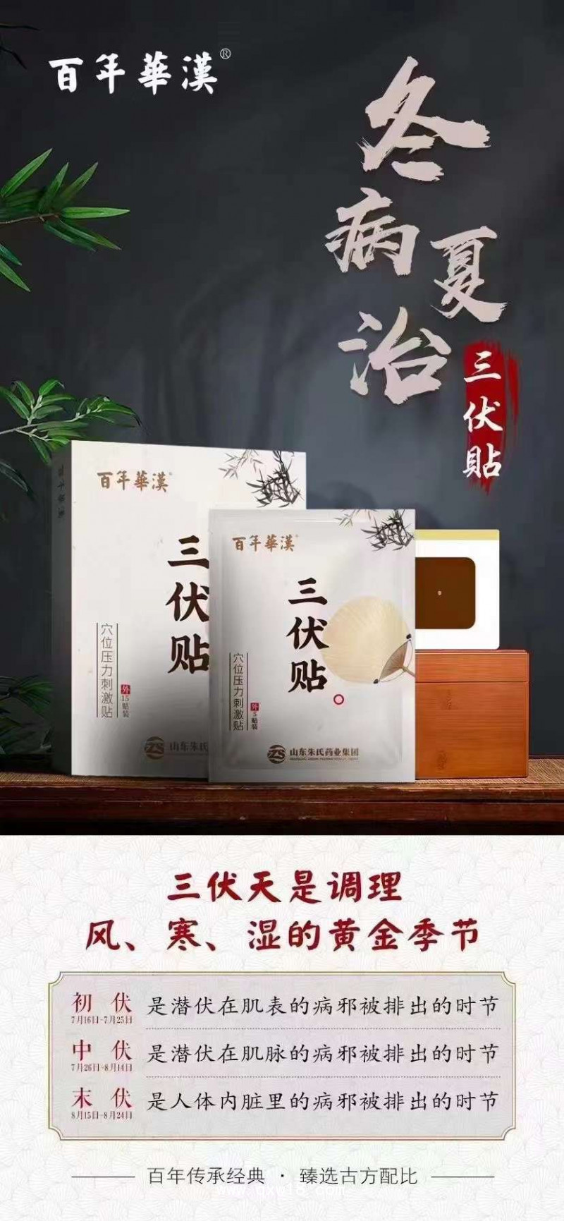 三伏貼生產(chǎn)廠家 承接定制 oem品牌代加工 可來廠參觀考察