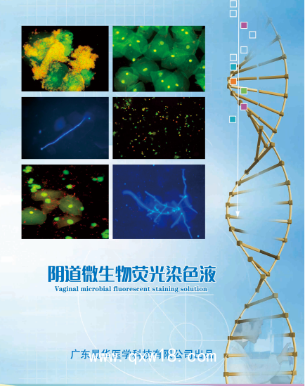 真菌D葡聚糖檢測(cè)免疫熒光染色試劑