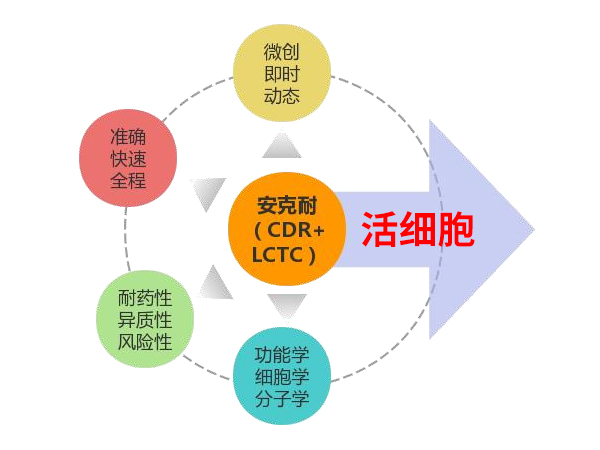 新一代活性循環(huán)腫瘤細胞檢測（安克耐?）