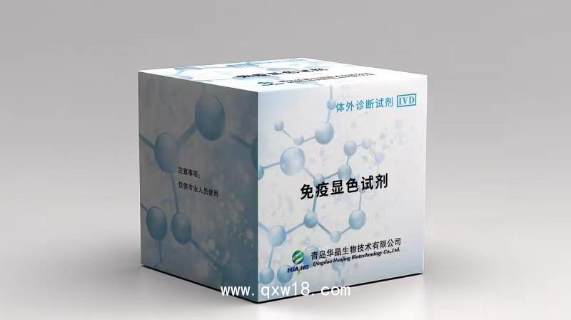 青島華晶 免疫顯色試劑 細(xì)胞熒光染色液