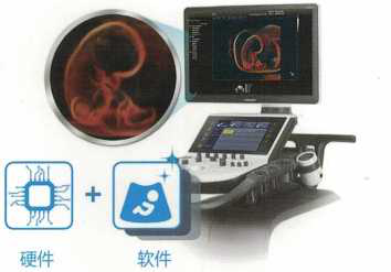 XW80A-2.png