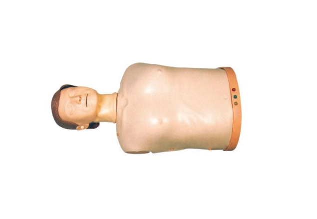 13.png