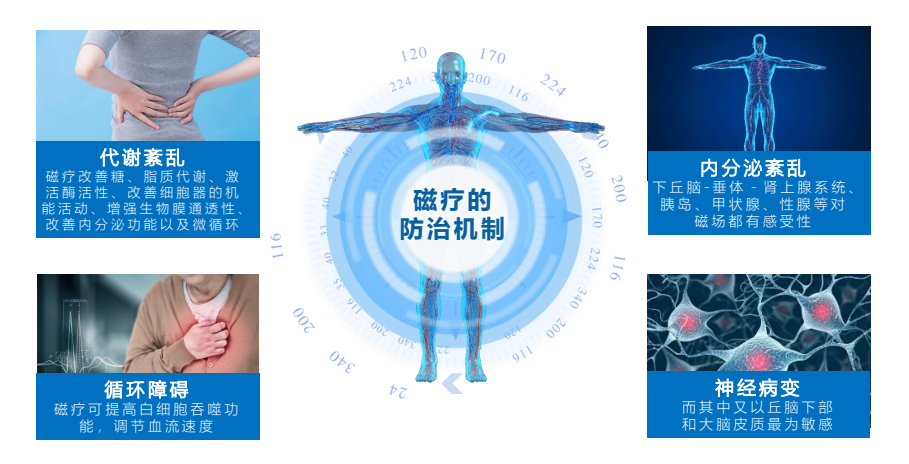 磁療的防治機制png