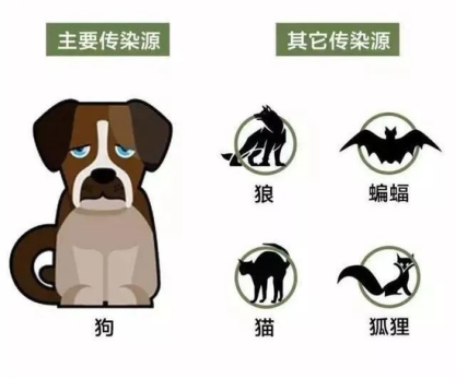 圖片.png