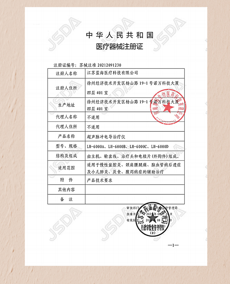 超聲脈沖電導(dǎo)治療儀-LH-6000B型_10.jpg