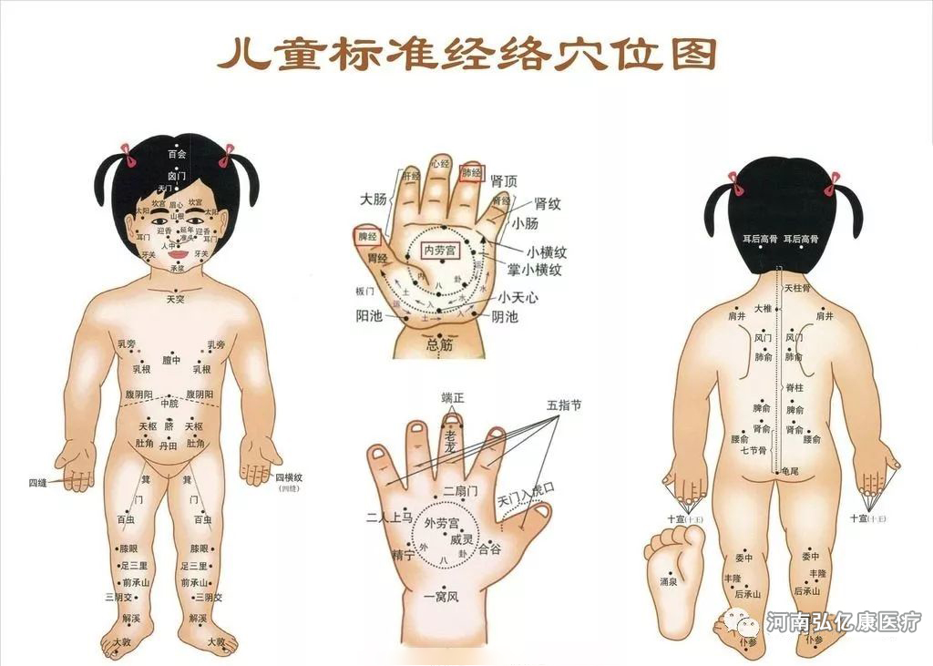 弘億康理療電極片.jpg